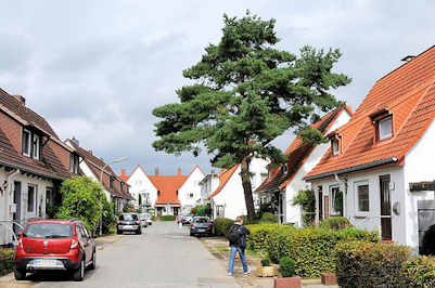 9219 Nebenstrasse in Wandsbek Gartenstadt - Einzelhuser sumen die Strasse - eine grosse Kiefer steht in einem der Vorgrten.